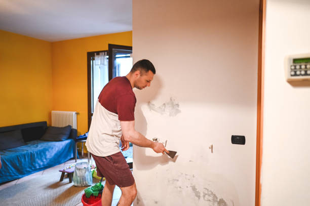 Best Post-Remediation Services in Santa Ana Pueblo, NM